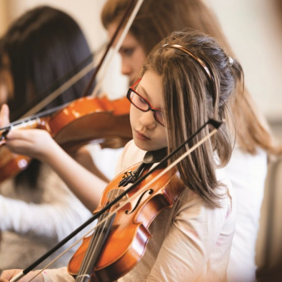 Beginner Violin